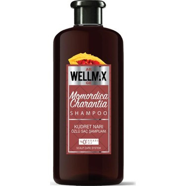 Wellmax Şampuan Yeni Formül Kudret Narı Özlü 500ML